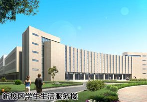 天津体育百家乐官方入口办公室 制作并