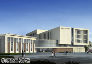 天津市静海区团泊新城西区东海道16号